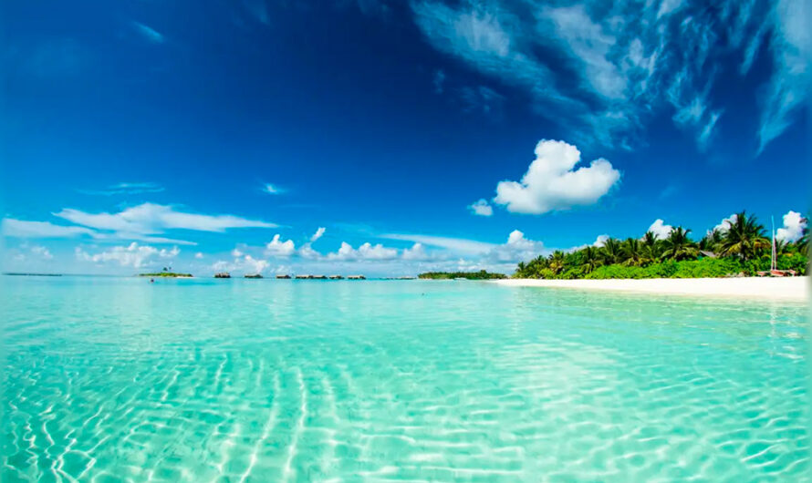 Интересные факты об Индийском океане