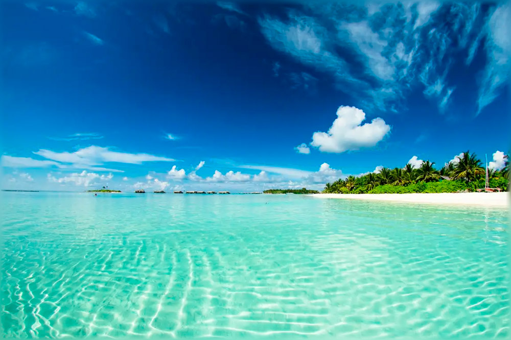 Интересные факты об Индийском океане