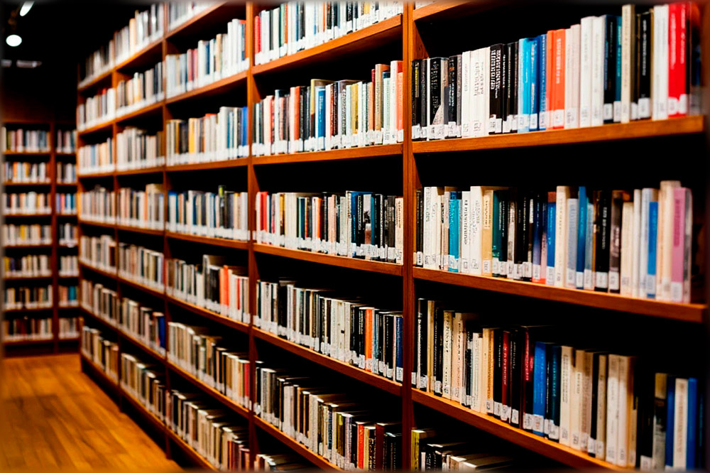 Интересные факты о литературе