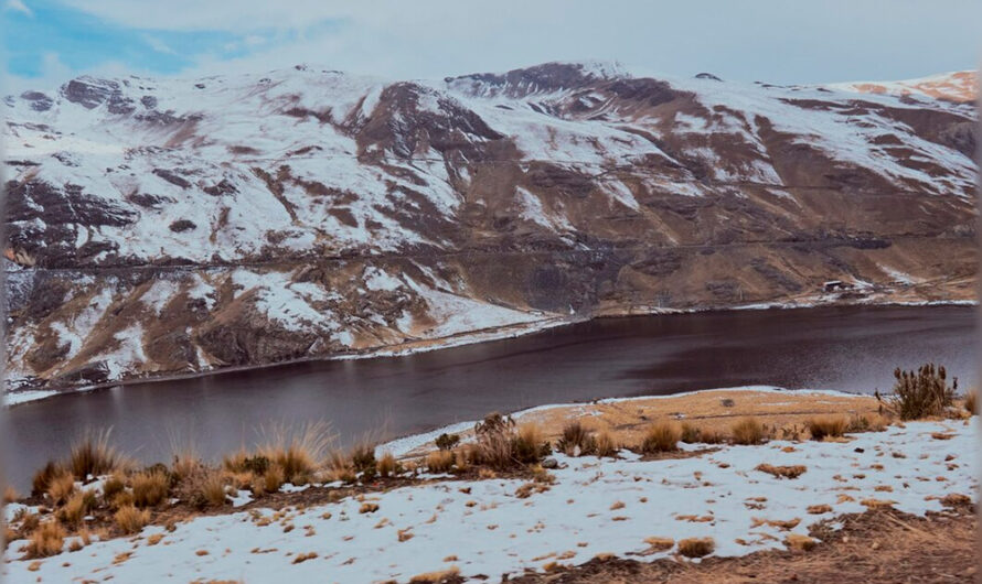 Интересные факты о тундре