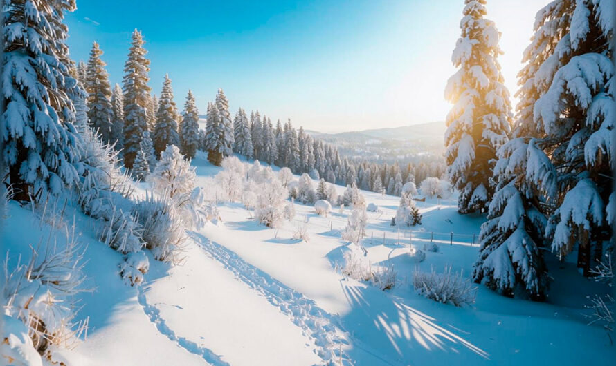 Интересные факты о зиме